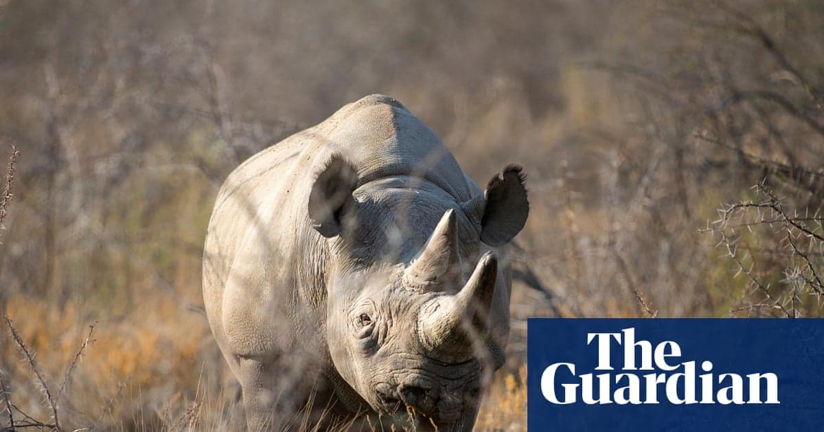 Namibya, Orduyu Breakfire ile savaşmak için konuşlandırıyor Etosha Oyun Rezervinin Üçüncüsü | Namibya