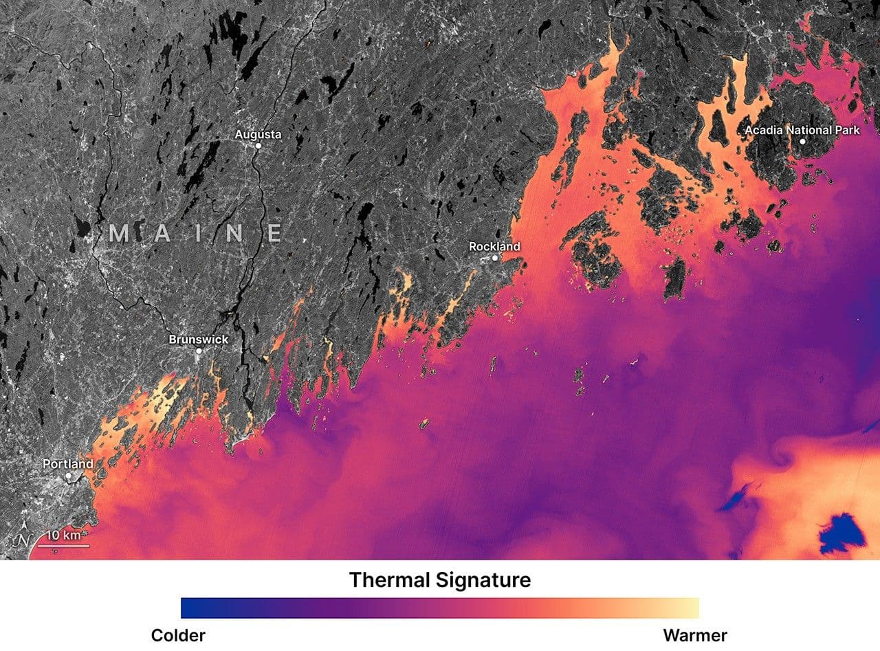 NASA Verileri, Maine İstiridye Çiftçilerinin Nerede Büyüyeceklerini Seçmelerine Yardımcı Oluyor