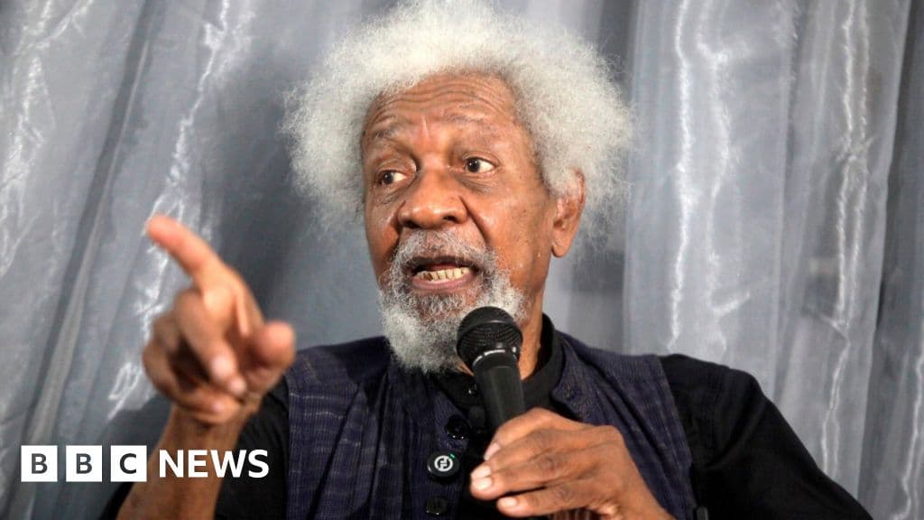 Nijeryalı Nobel ödüllü Wole Soyinka, ABD vizesinin iptal edildiğini söyledi