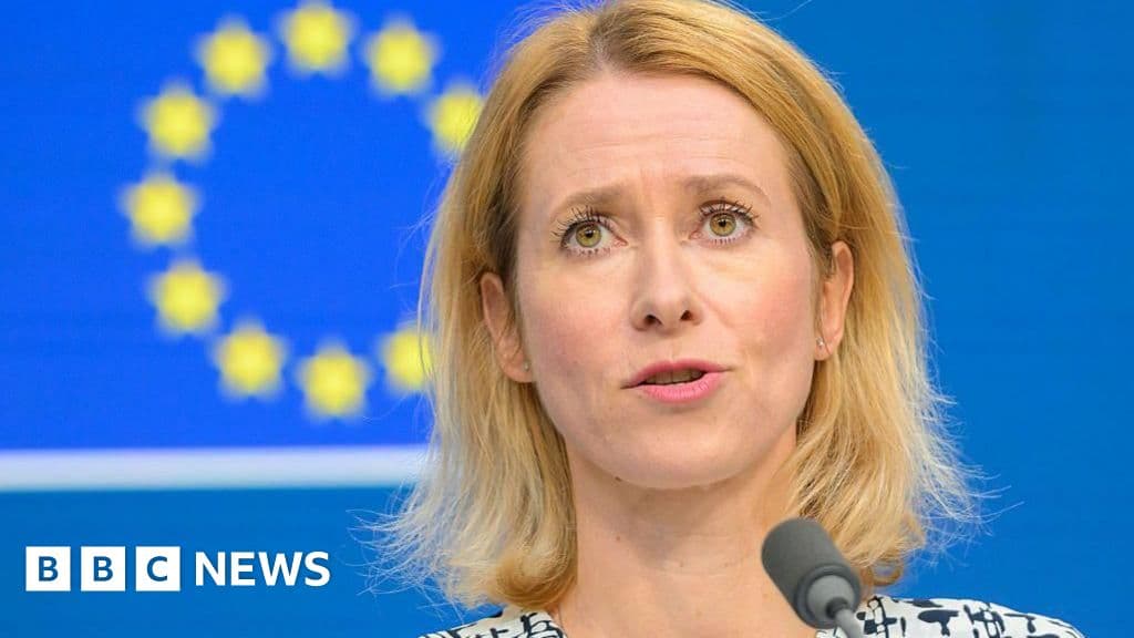 Önerilen Ukrayna arazi imtiyazları Putin'in tuzağıdır, AB üst diplomat BBC'ye anlatır