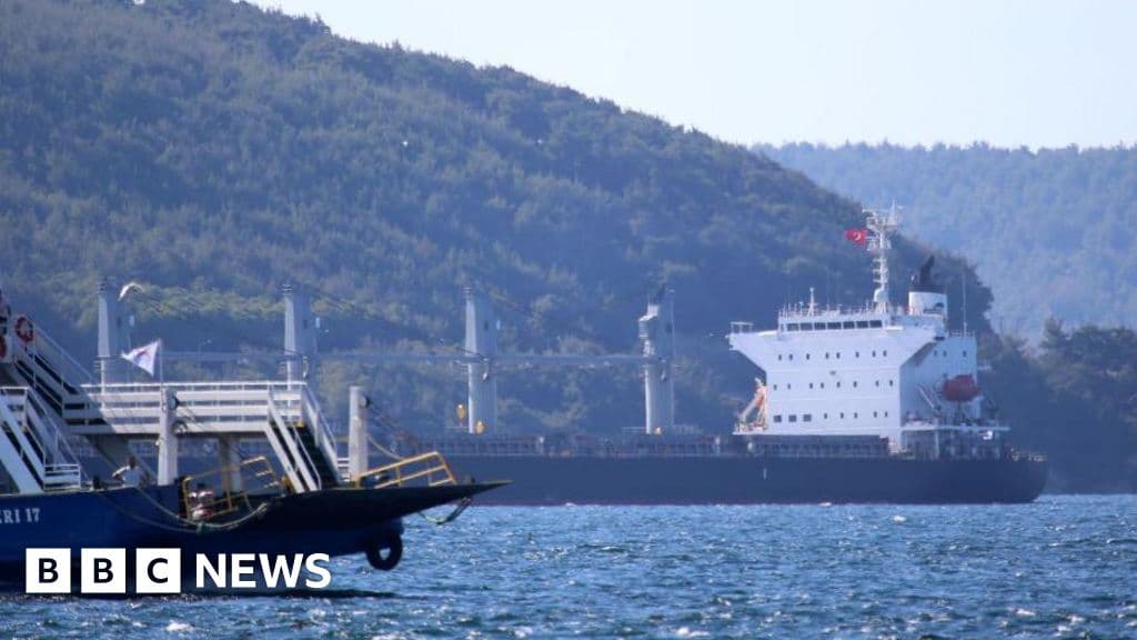 Orman yangınları Türkiye'yi Dardanelles Boğazı'nı nakliyeye kapatmaya zorladı