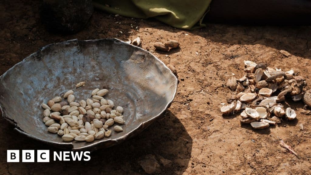 Sağlık görevlileri, Darfur kampında düzineden fazla çocuğun gıda kıtlığı nedeniyle öldüğünü söylüyor