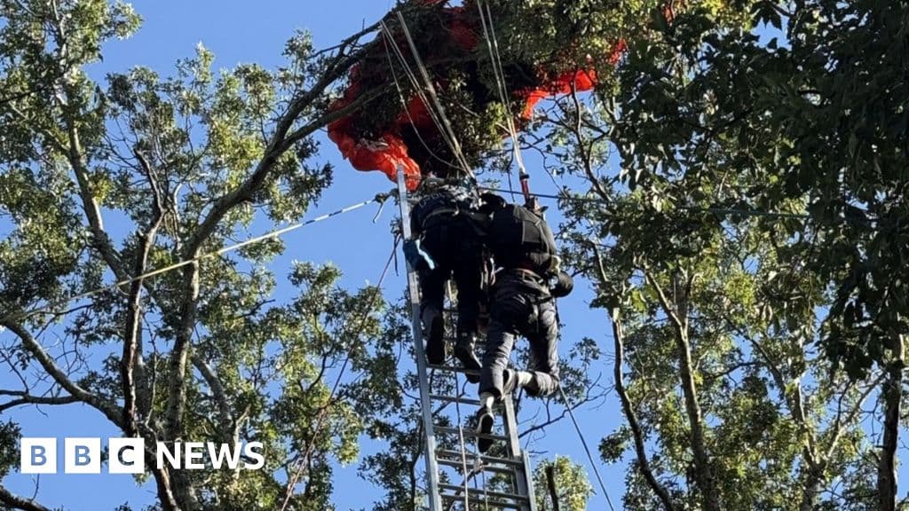 Skydiver paraşüt olmadan düştükten sonra ölür