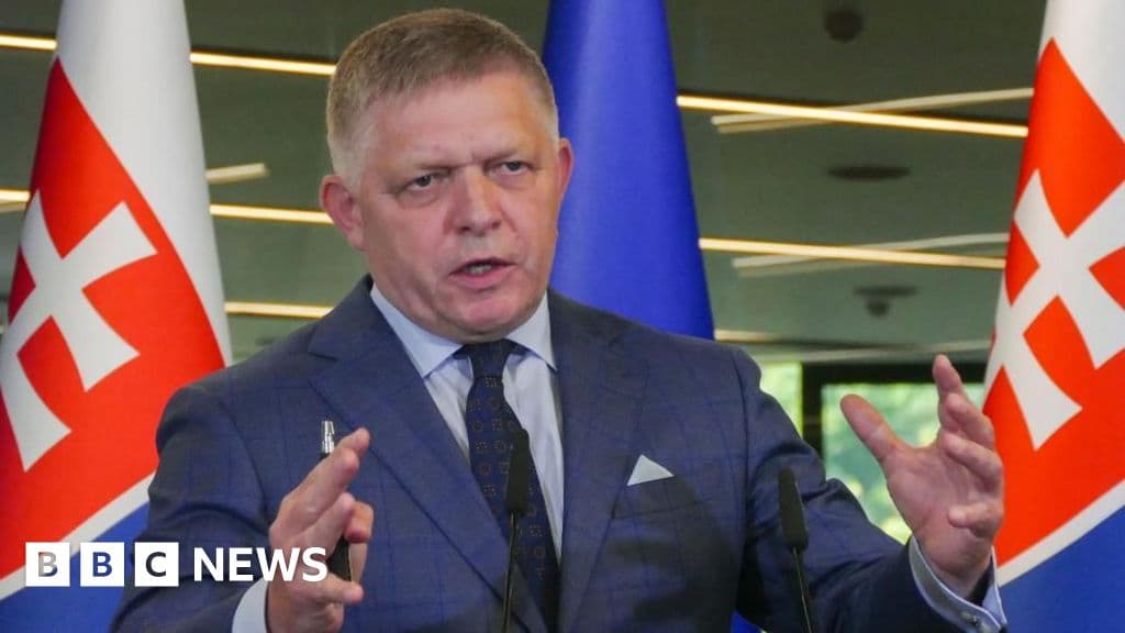 Slovakya sadece iki cinsiyeti tanımak ve evlat edinmeyi kısıtlamak için yasayı geçer