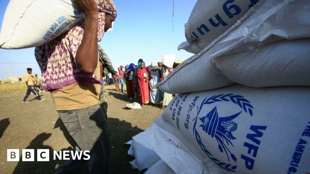 Sudan, çatışmaların artması nedeniyle BM Dünya Gıda Programı yetkililerini sınır dışı etti