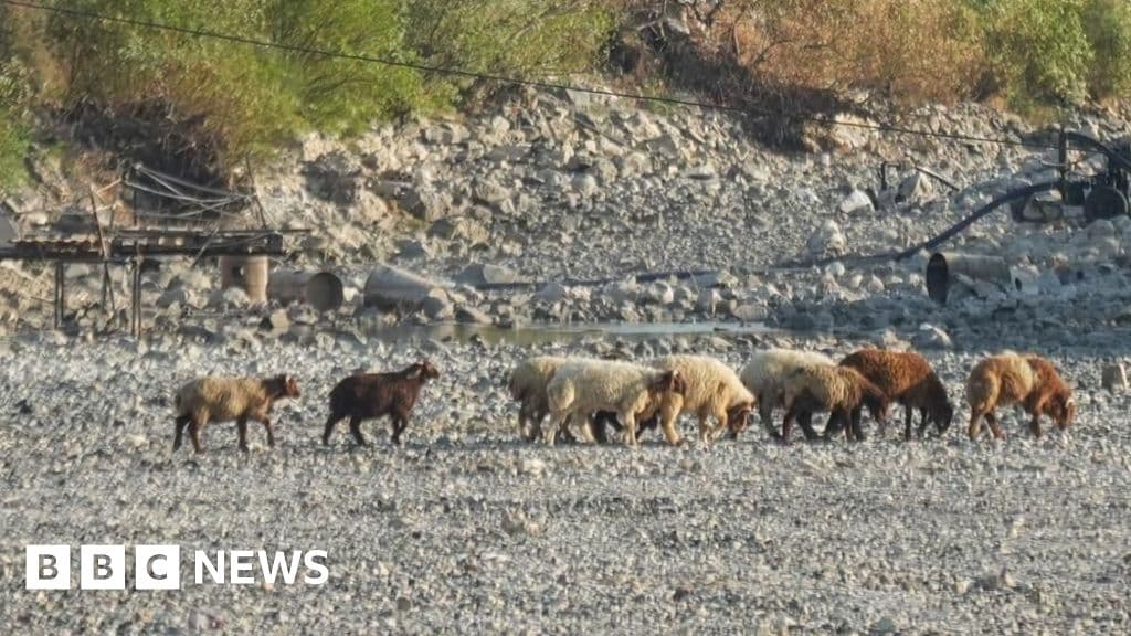 Suriye'nin onlarca yıldır en kötü kuraklığı milyonlarca insanın eşiğine itiliyor