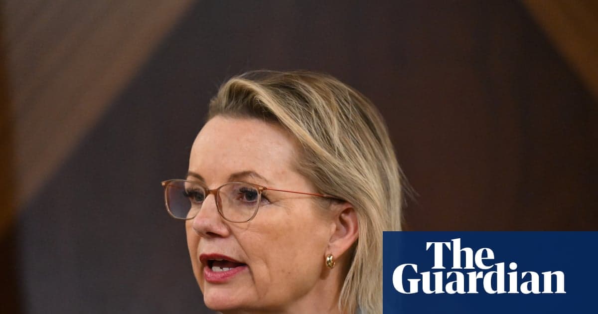 Sussan Ley, ön bankacılar için KPI'ları belirler ve iç bölünme salgınlarının ortasında disiplin çağrısında bulunur | Avustralya siyaseti
