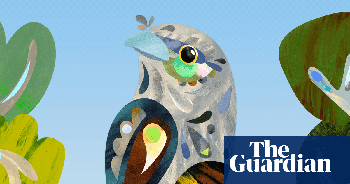 Tawny frogmouth, 2025 Avustralya'da yılın kuşu ödülünün sahibi oldu | Avustralya'da yılın kuşu 2025