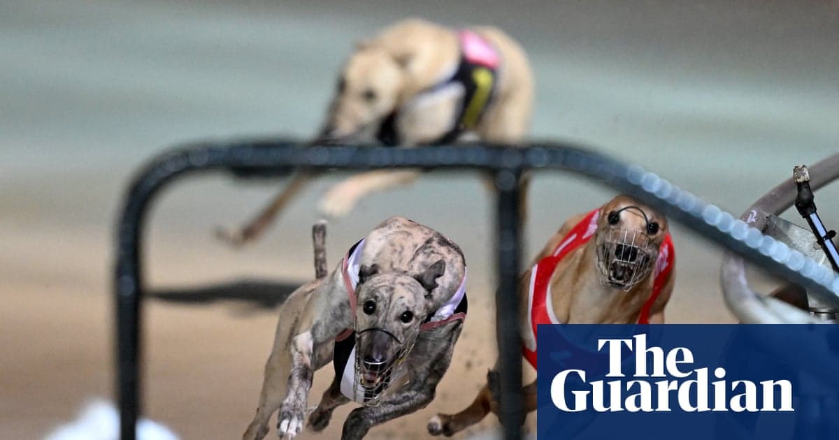 Tazmanya Premier, azınlık hükümetini desteklemek için crossbench ederken Greyhound yarışını sona erdirmeye yemin ediyor | Tazı yarışı