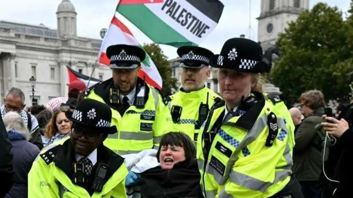 Top European human rights official urges UK to review protest laws over Palestine Action arrests