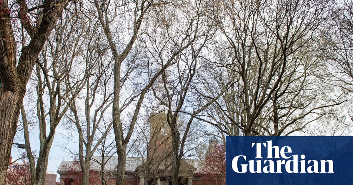 Trump, Feud devam ederken Harvard'dan '500 milyon dolardan daha az bir şey' istemediğini söylüyor | Harvard Üniversitesi