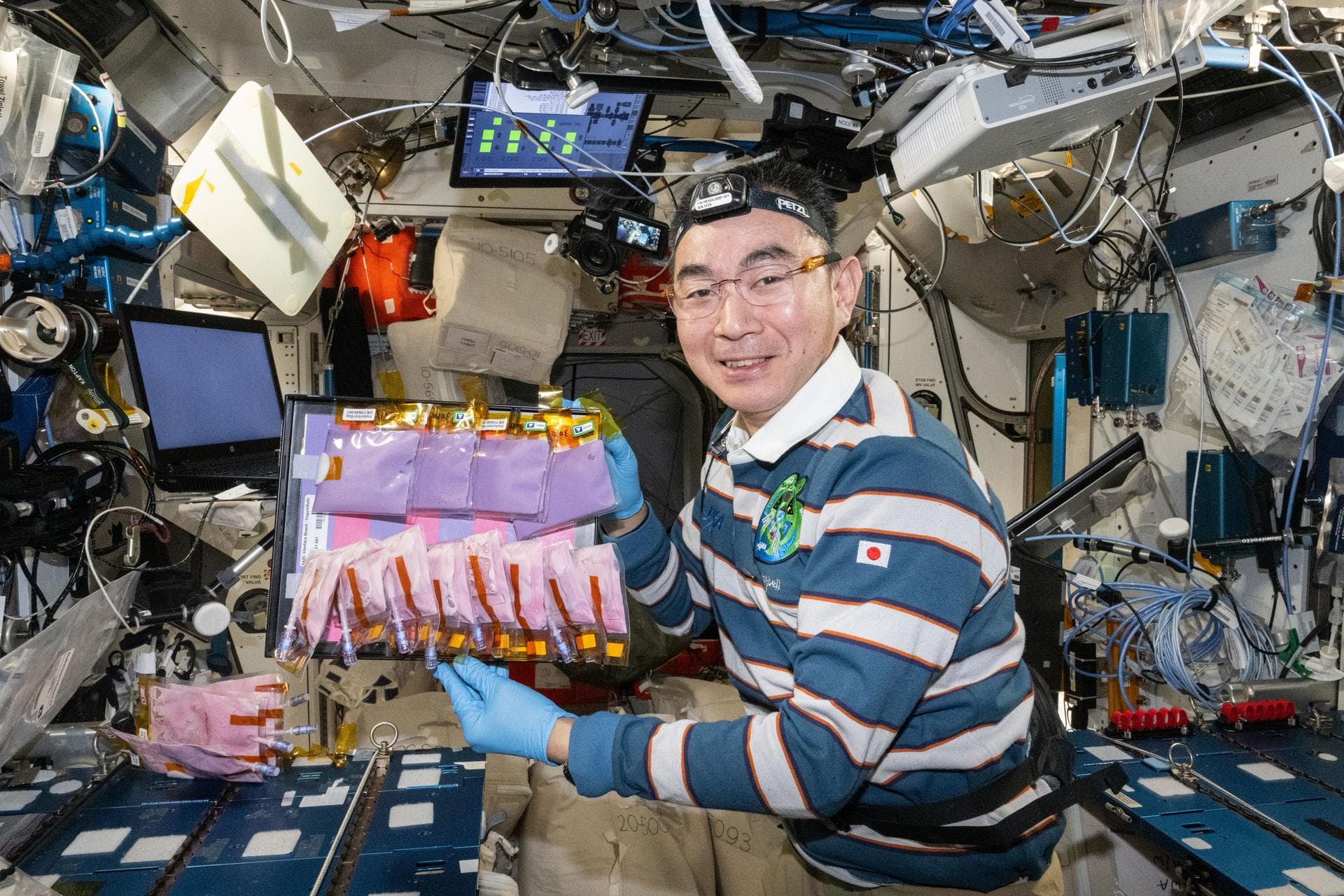 Uzaydan Gelen Fermente Gıda Örneklerini Analiz Edecek NASA Çalışması