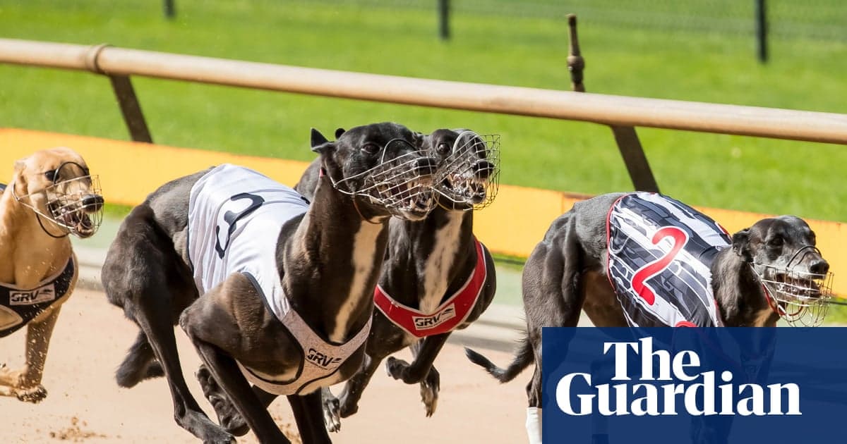 Victoria, Greyhound Racing'i hurdaya çıkararak 10 yıl boyunca yaklaşık 500 milyon dolar tasarruf edebilir, Tahminler Göster | Tazı yarışı