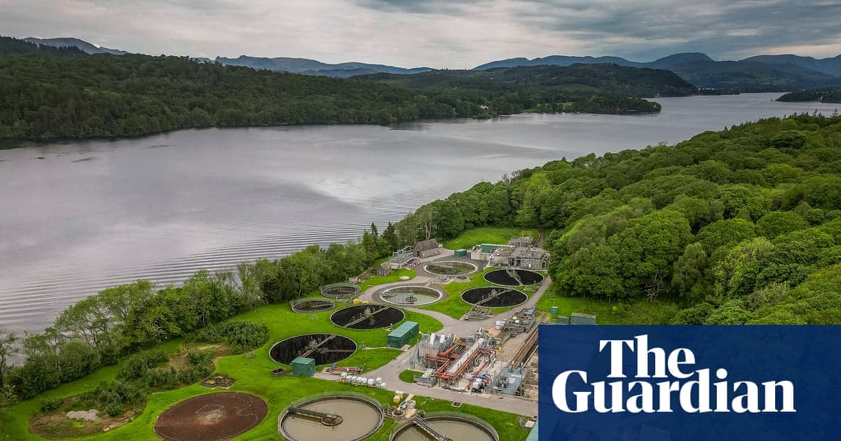 Windermere'nin çoğu kanalizasyon bakterileri ile kirlenmiş, türünün en büyük anketini buluyor | Göller Bölgesi