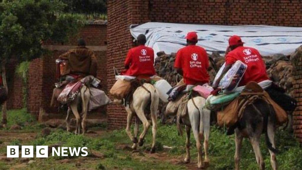 Yardım çalışanları Darfur'daki Tarasin köyüne ulaşmak için eşek kullanıyor