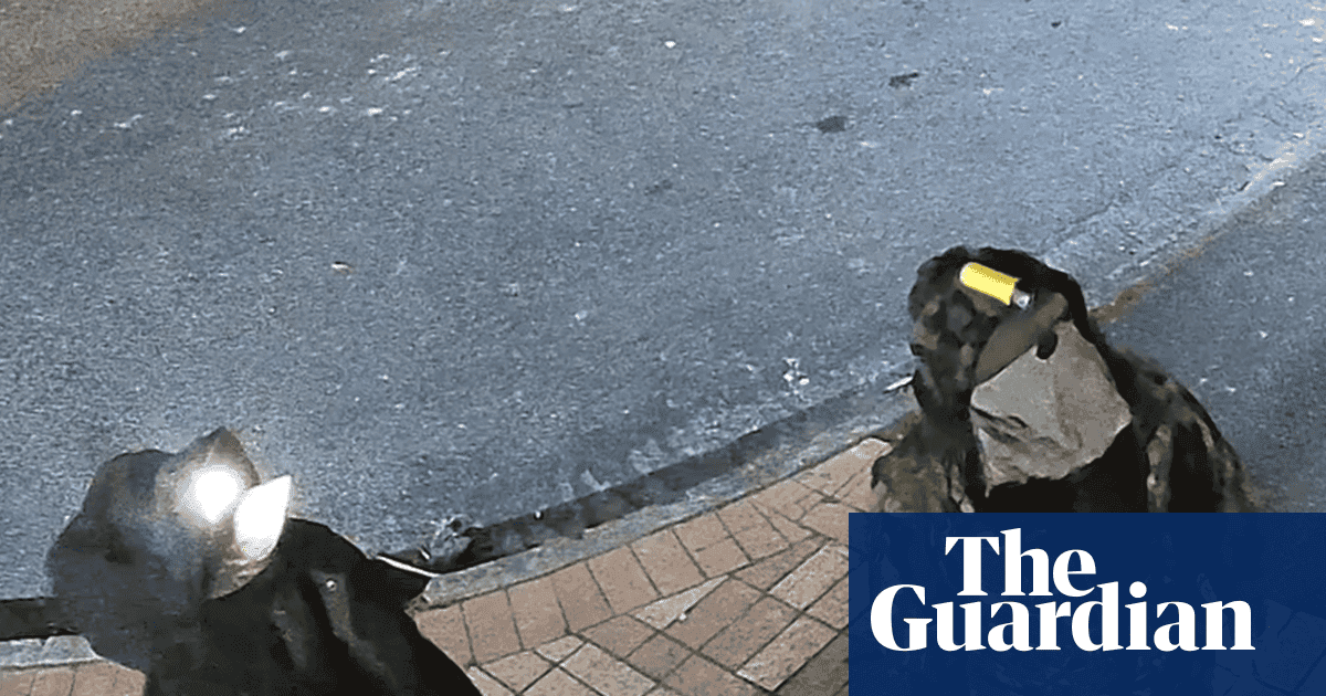 Yeni Zelanda kaçak ve çocuklarından biri dört yıl kaçtıktan sonra CCTV'de gördü, polis inanıyor | Yeni Zelanda
