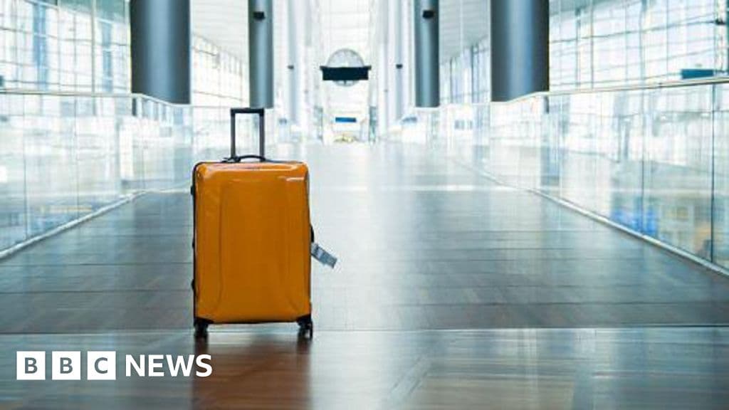 Yeni Zelanda kadın iki yaşındaki bagajda bulunduktan sonra tutuklandı