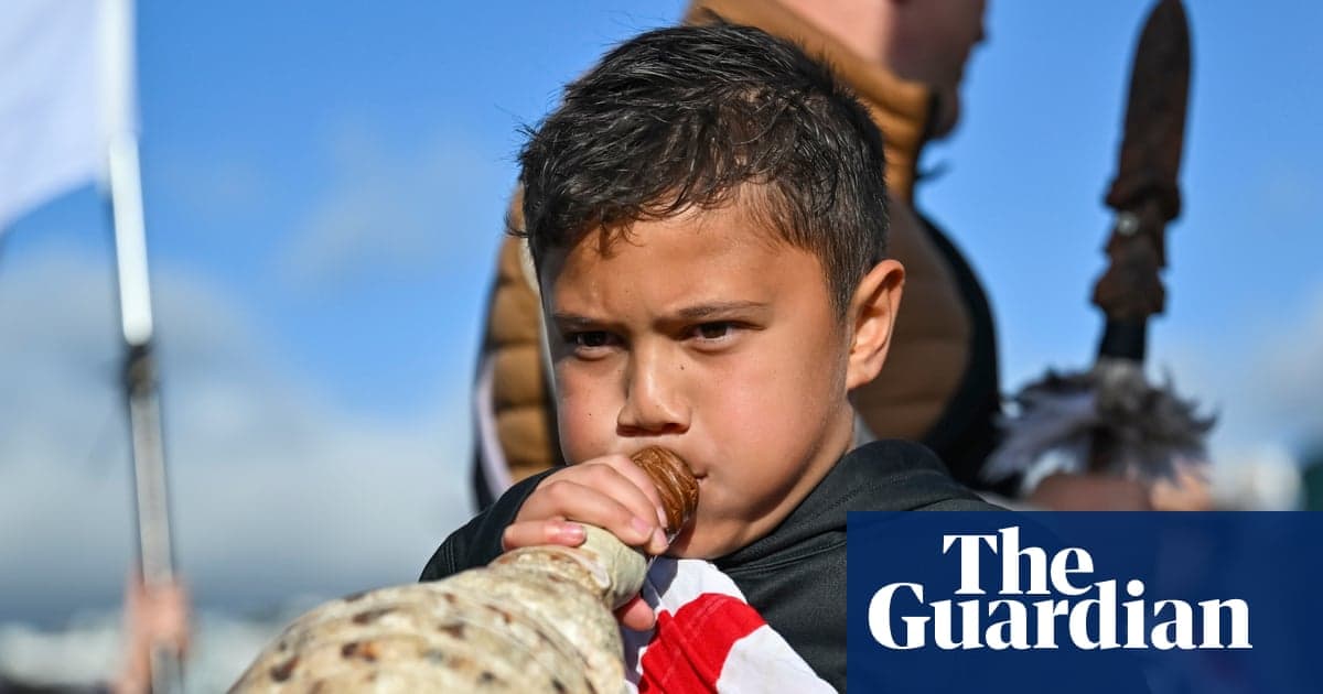 Yeni Zelanda konseylerindeki garantili Māori koltukları yarıdan fazla azaltılacak | Maori
