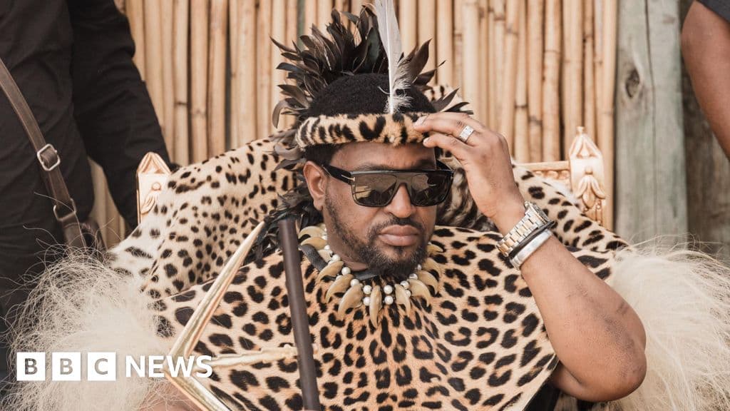 Zulu King, Profesöre Güney Afrika'da Dövüş Yapmaya Meydan Okuması